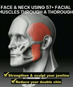 XMARTIAL Jaw Exerciser Less Than $35 15 XMARTIAL Jaw Exerciser Less Than $35